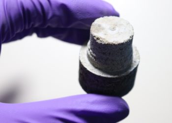 People flouting Covid norms at India Gate lawns fined