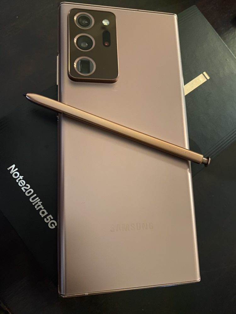 People flouting Covid norms at India Gate lawns fined