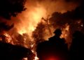 California sees 7,860 wildfires, 3.4 mln acres burned this year