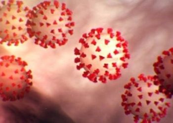 Drug with potential to fight Covid-19 identified