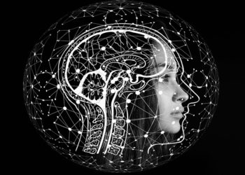 Researchers decode brain mechanism of taking risks