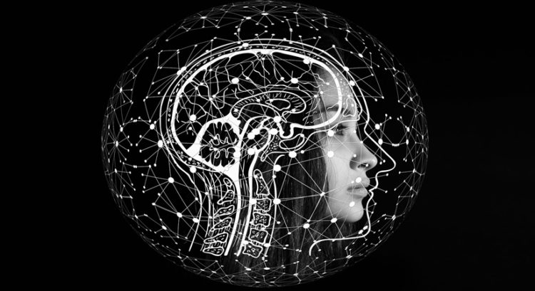 Researchers decode brain mechanism of taking risks