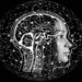 Researchers decode brain mechanism of taking risks