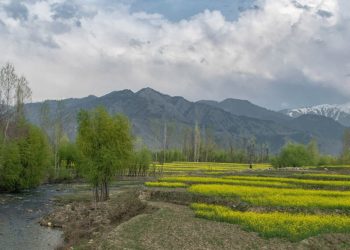 Roshni Act beneficiaries include powerful J&K figures