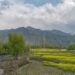 Roshni Act beneficiaries include powerful J&K figures