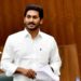 Take action against those creating commodity scarcity: Andhra CM