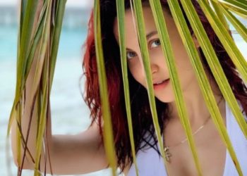 Modi govt committed to freedom of Press: Shah