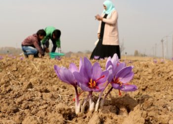 PM Modi’s Diwali wish, ‘Support Indian talent’