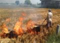 Stubble burning contributing 40% to Delhi's pollution