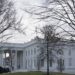White House political affairs chief Brian Jack tests positive for coronavirus