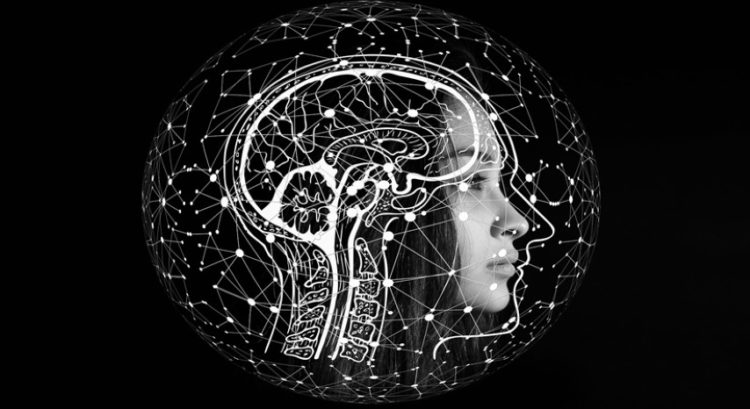 Brain cell that can help track distance discovered