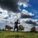 Has the ultra-Left hijacked farmers’ agitation?