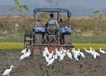 No ‘black day’ in Ayodhya on Babri demolition anniversary