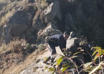 Covid curbs for visitors to Bengaluru zoo on New Year holidays