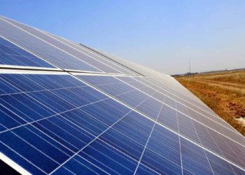 Covid curbs for visitors to Bengaluru zoo on New Year holidays