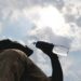 2020 was the 8th warmest year since 1901