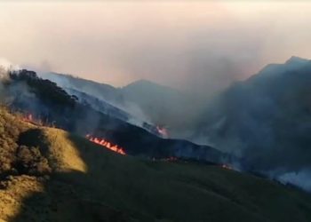 Youth Congress to pay tribute to deceased farmers on Friday