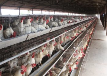 Govt refuses to repeal farm laws, farmers adamant over withdrawal