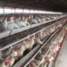 Govt refuses to repeal farm laws, farmers adamant over withdrawal
