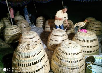 Centre disapproves administration of Covaxin to those below 18 yrs