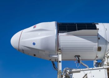 SpaceX Dragon set to bring more key science back to Earth