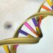 64 full human genomes sequenced at high-res