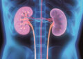Golden Rules To Keep Your Kidneys Healthy