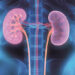 Golden Rules To Keep Your Kidneys Healthy
