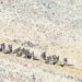 India, China complete troop pullout from lake area