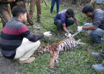 Aero India to boost ‘Aatmanirbhar Bharat’ mission: Rajnath