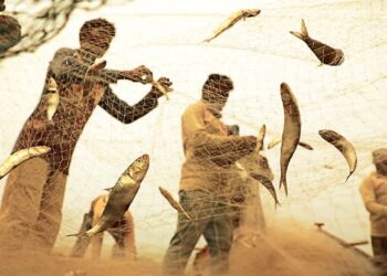 54pc of infected persons admitted to hospital in past two weeks