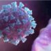Double and triple mutants of coronavirus one and the same, vaccines effective on it: Scientist