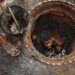 HC set to frame guidelines to eradicate manual scavenging