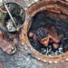 Metro Water bans cleaning of septic tanks by pvt operators
