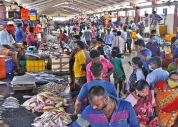 Rush in markets to stock ahead of Sunday lockdown