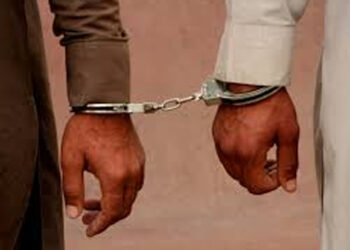 Three LeT terror associates held in J-K's Budgam