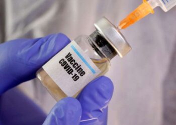 DNA vaccines for Covid-19 effective in mice, hamsters: Study