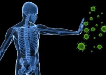 How does our body cope with stress of viral infections?