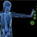 How does our body cope with stress of viral infections?