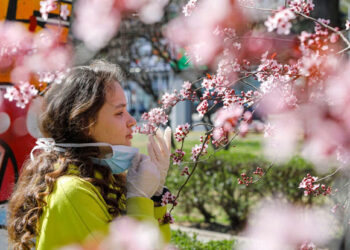 Prolonged air pollution exposure doubles risk of smell loss: Study