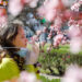 Prolonged air pollution exposure doubles risk of smell loss: Study