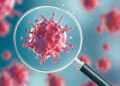 Covid survivors still at reinfection risk from Alpha, Beta variants