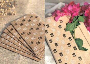 ISRO successfully conducts 3rd Vikas Engine long-duration hot test for Gaganyaan Program