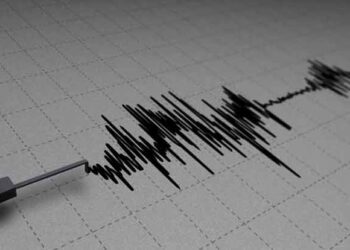 6.0 magnitude quake jolts Indonesia's easternmost province of Papua