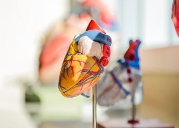 Are young Indians at a higher risk of heart disease?