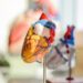 Are young Indians at a higher risk of heart disease?