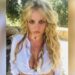 Britney Spears' father files petition to end conservatorship