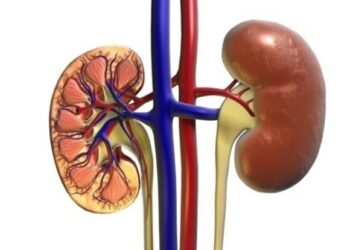Long COVID complications causing severe kidney damage, say doctors