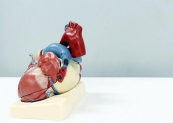 Myth or Fact: Exercise must be avoided after a heart attack