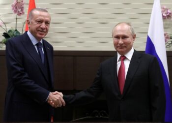 Putin, Erdogan sit down for talks on war-torn Syria